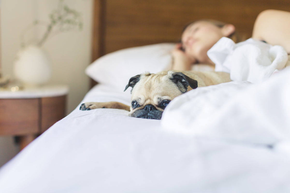 快眠のための環境を整える4つのオススメ方法!