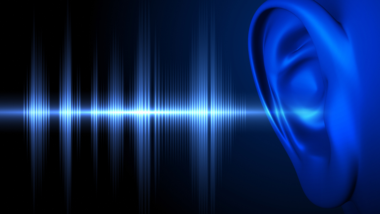 騒音性難聴（NIHL）への意識を高め、生活のなかで耳を守ろう！